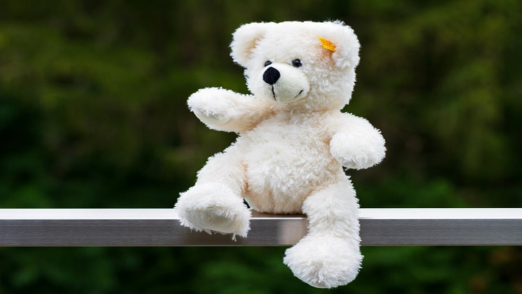 Happy Teddy Day