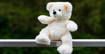 Happy Teddy Day