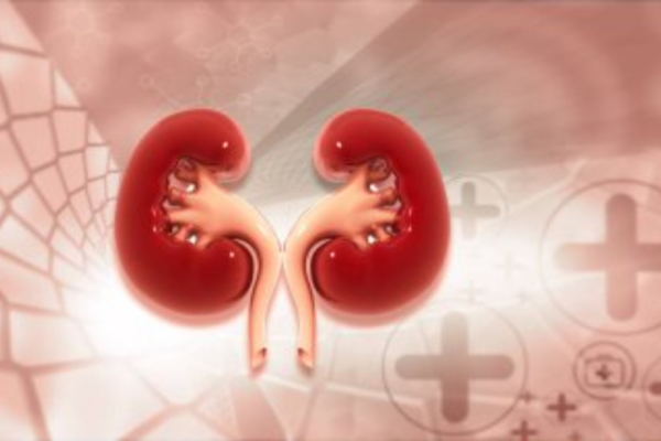 Natural Ways to Detoxify Your Kidneys