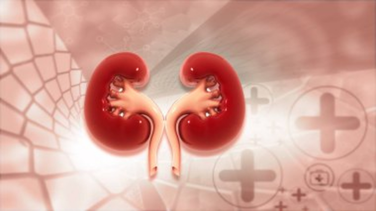 Natural Ways to Detoxify Your Kidneys